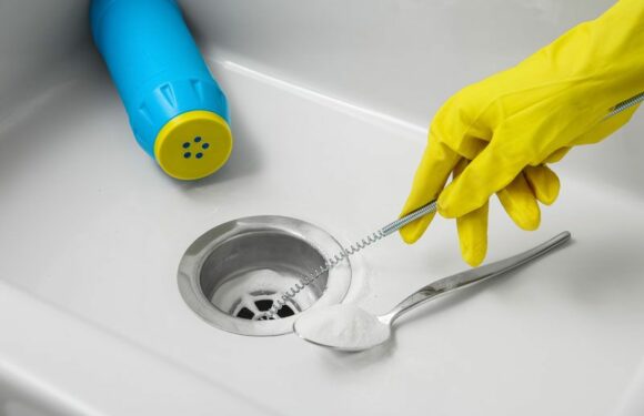 Comment déboucher vos canalisations sans produit chimique ?